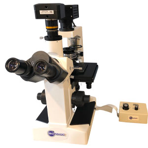 Incubator Microscope