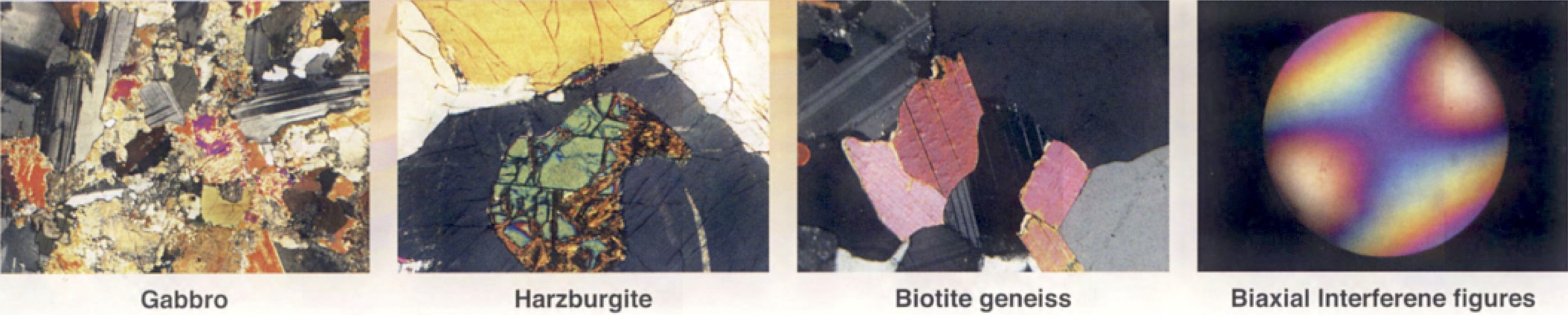 Polarizing Microscopes