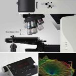 BMSF1000 Epi-Fluorescent-Polarizing 3D Slide Scanner