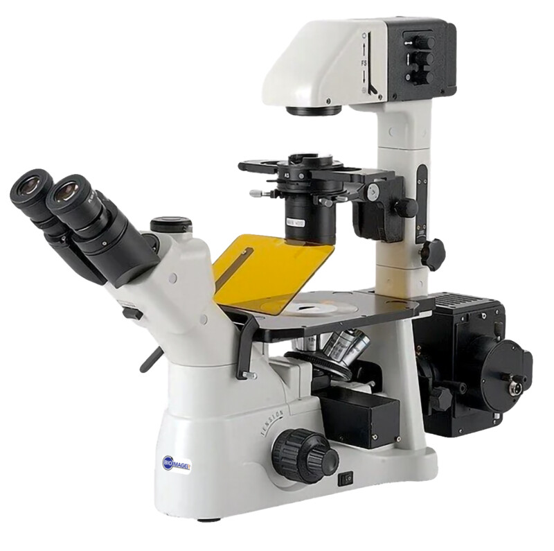 BIM900FLK Inverted Fluorescent Microscope with Koehler Illuminatin