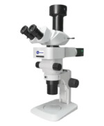 BSM400FL LED Fluorescence Stereo microscope