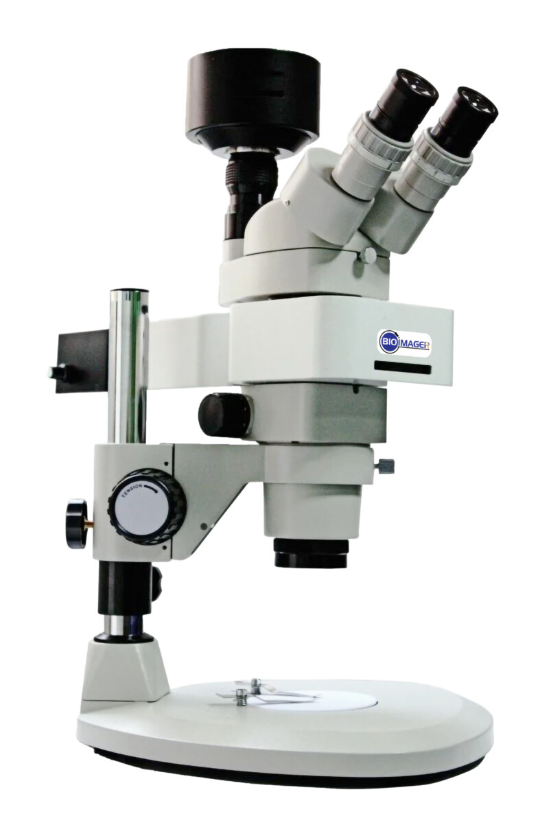 BSM400FL LED Fluorescence Stereo microscope - Image 4