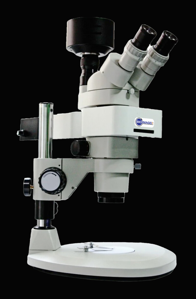 BSM400FL LED Fluorescence Stereo microscope - Image 5