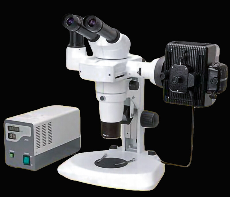 BSM500FL   Stereo EpiFluorescence Microscope (Nikon SMZ800 Clone) - Image 3