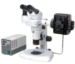 BSM500FL   Stereo EpiFluorescence Microscope (Nikon SMZ800 Clone)