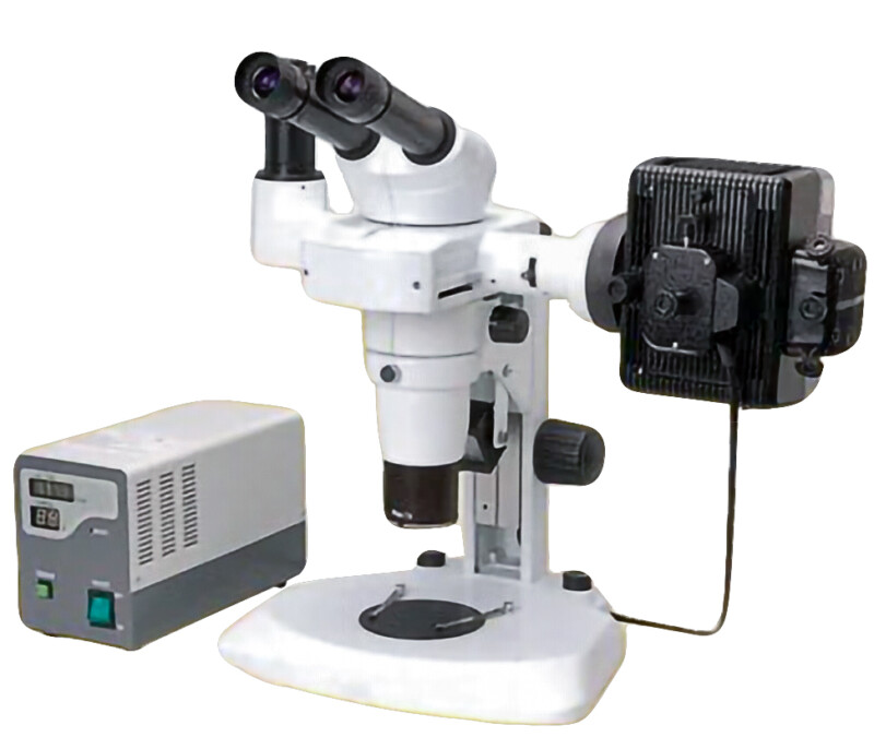 BSM500FL   Stereo EpiFluorescence Microscope (Nikon SMZ800 Clone)