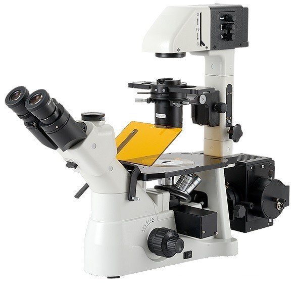 BIM900FLK Inverted Fluorescent Microscope with Koehler Illuminatin