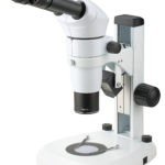 BSM500FL Stereo EpiFluorescence Microscope