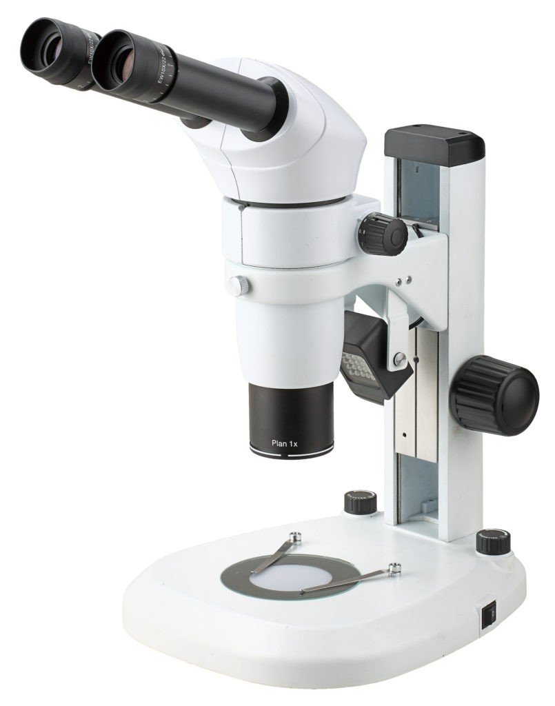 BSM500FL Stereo EpiFluorescence Microscope