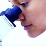 BSM400FL LED Fluorescence Stereo microscope