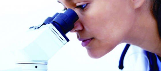 BSM400FL LED Fluorescence Stereo microscope