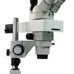BSM400FL LED Fluorescence Stereo microscope