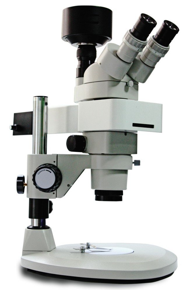 BSM400FL LED Fluorescence Stereo microscope