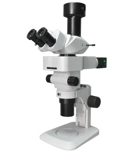 BSM400FL LED Fluorescence Stereo microscope