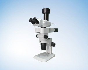 BSM400FL LED Fluorescence Stereo microscope