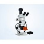 BSM400FL LED Fluorescence Stereo microscope