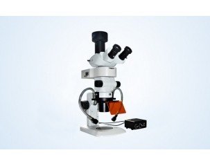 BSM400FL LED Fluorescence Stereo microscope