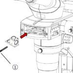 BSM500FL Stereo EpiFluorescence Microscope