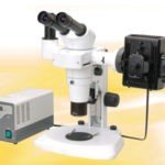 BSM500FL Stereo EpiFluorescence Microscope