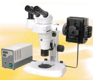 BSM500FL Stereo EpiFluorescence Microscope