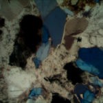 BPM560 Polarizing Transmitted Microscope