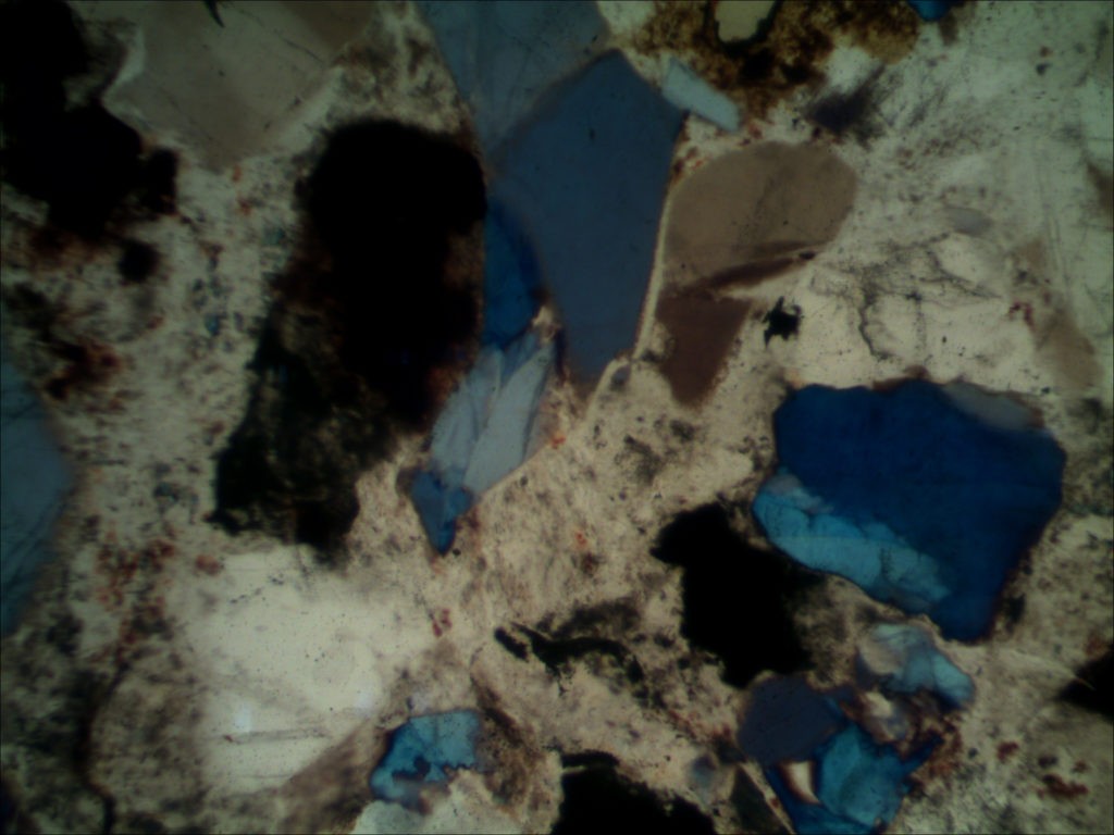 BPM560 Polarizing Transmitted Microscope