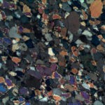 BPM560 Polarizing Transmitted Microscope