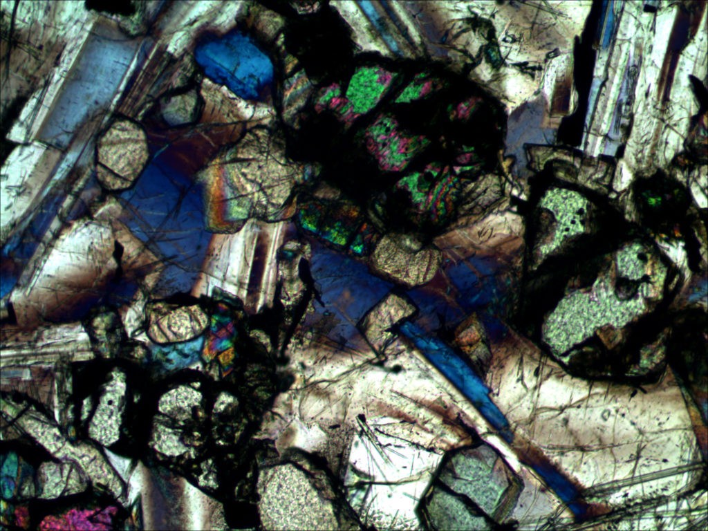 BPM560 Polarizing Transmitted Microscope