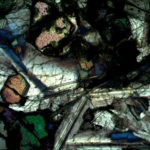 BPM560 Polarizing Transmitted Microscope