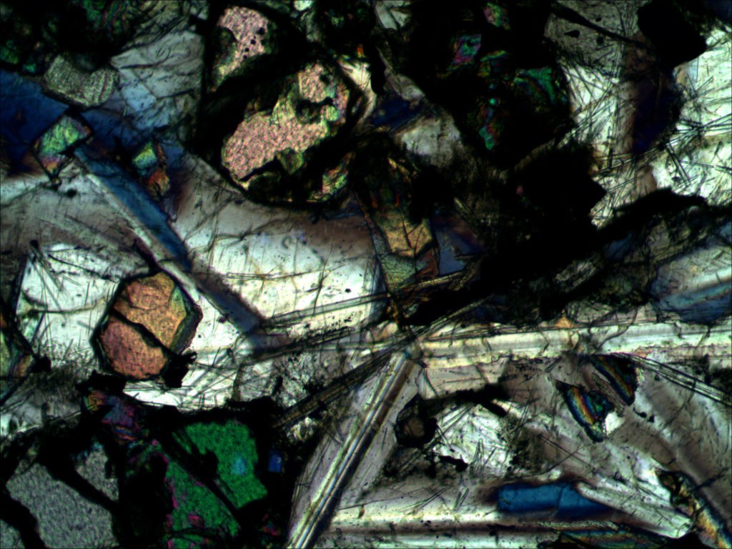 BPM560 Polarizing Transmitted Microscope