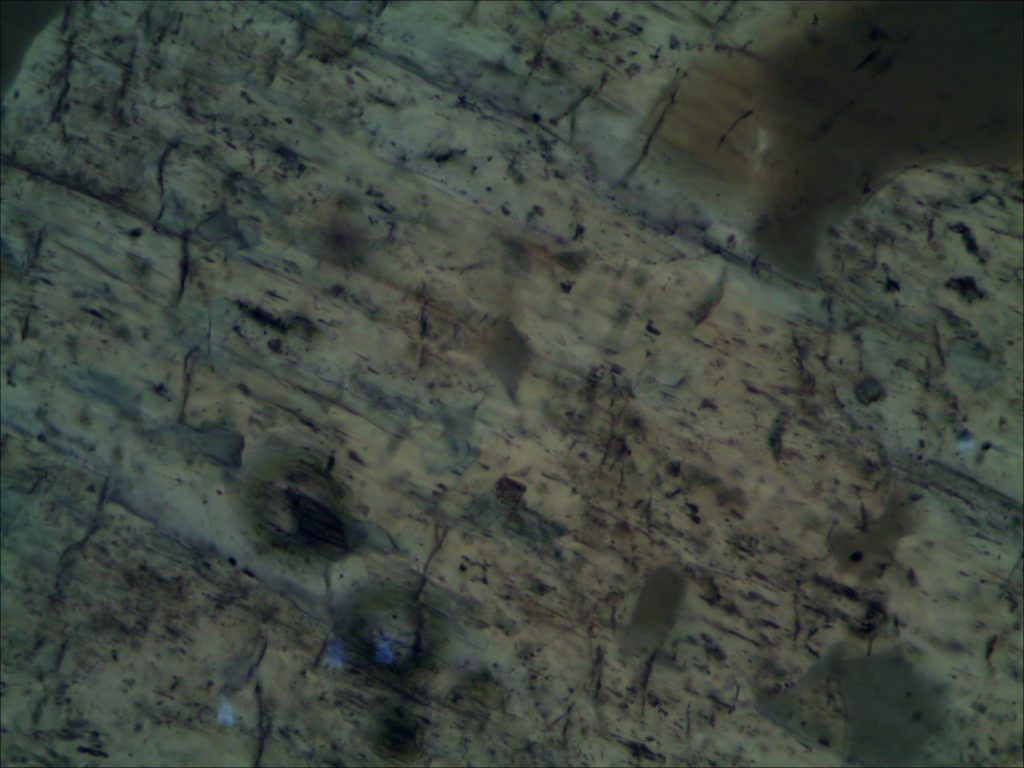 BPM560 Polarizing Transmitted Microscope