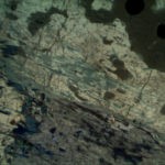 BPM560 Polarizing Transmitted Microscope