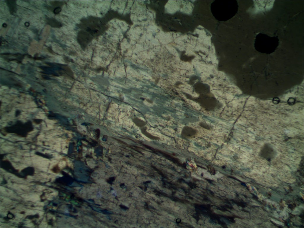 BPM560 Polarizing Transmitted Microscope