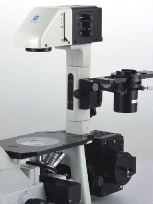 BIM900 Inverted Biological Microscope with Koehler Illuminatin