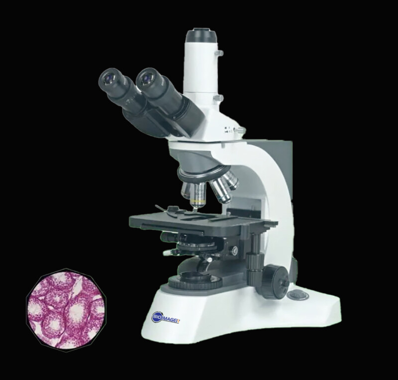 BUM500 Biological Upright Laboratory Microscope - Image 3