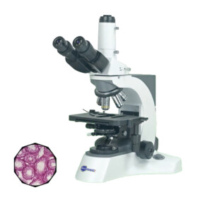 BUM500 Biological Upright Laboratory Microscope