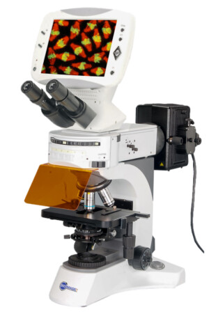 BUM500FLD LCD Upright Fluorescence Microscope