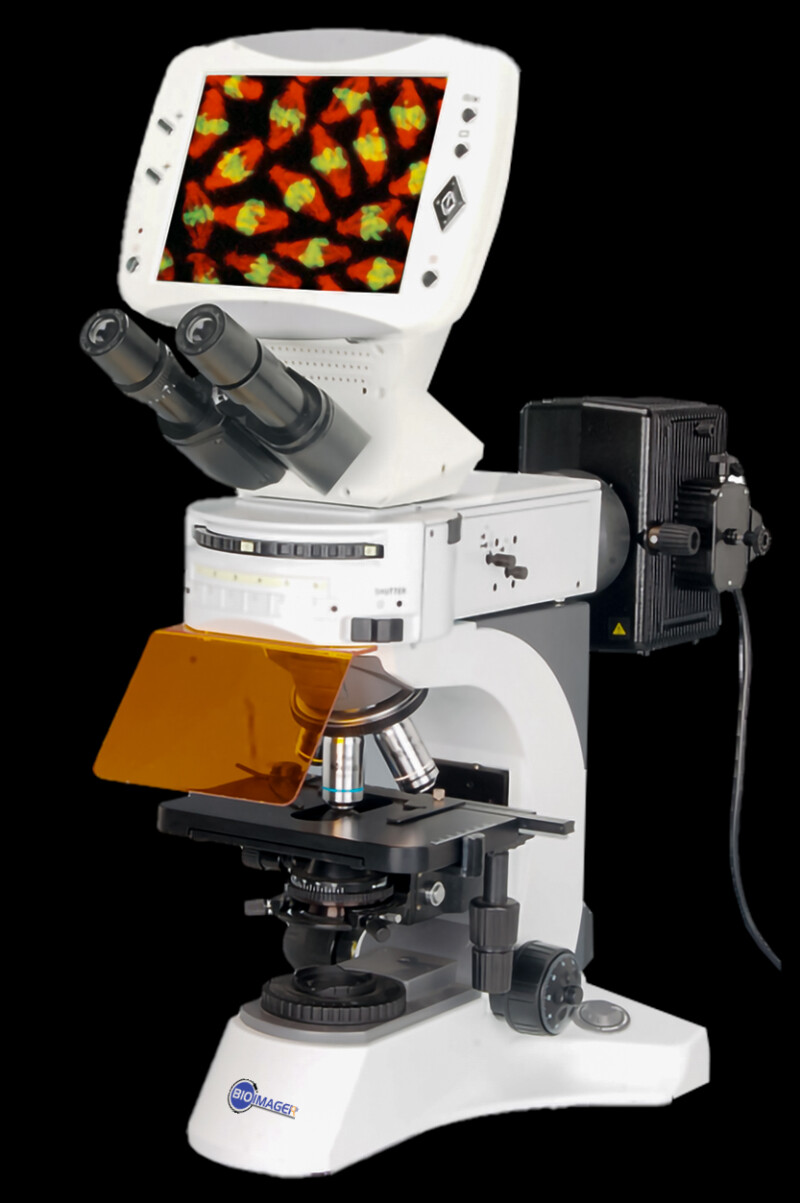 BUM250L LCD Upright Biological Microscope - Image 2