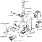 BUM500A Fully Motorized Auto-Focus Biological MicroscopeMicroscope