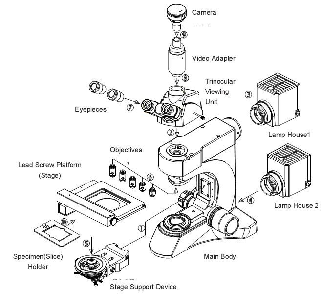 BUM500A Fully Motorized Auto-Focus Biological MicroscopeMicroscope