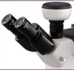BIM300 Inverted Biological Microscope