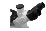 BMI600 Inverted Metallurgical BF/DF +DIC (Optional) Microscope