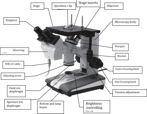 BMI200 Bench Inverted Microscope