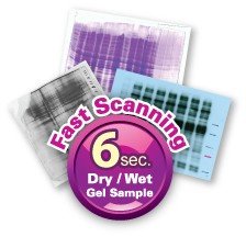 6 seconds per gel scanning (10x10cm)