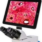 BUM265A Digital Biological Microscope with Android LCD