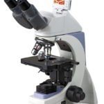 BUM250L LCD Upright Biological Microscope