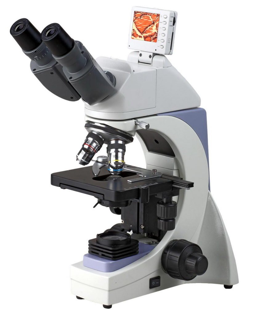 BUM250L LCD Upright Biological Microscope