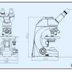 BUM250L LCD Upright Biological Microscope