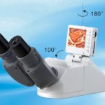 BUM250L LCD Upright Biological Microscope