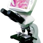 BUM260LCD Upright Biological Microscope with LCD